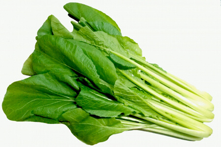 宅配した小松菜の保存方法