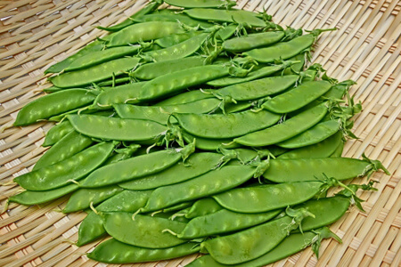 宅配した絹さやの保存方法