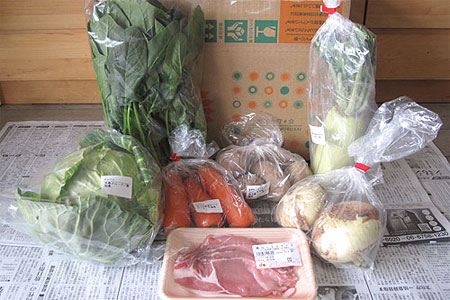 大地を守る会の宅配、有機野菜セット