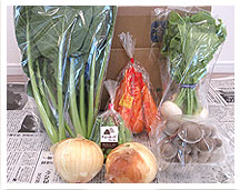 坂の途中の野菜セット