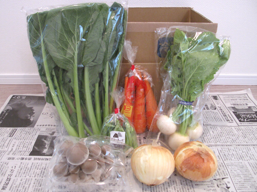 坂の途中の通販野菜