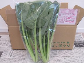 小松菜（坂の途中）