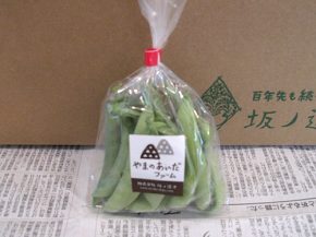 赤花砂糖さやえんどう（坂の途中）