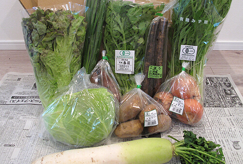 ビオマルシェのお試しセット