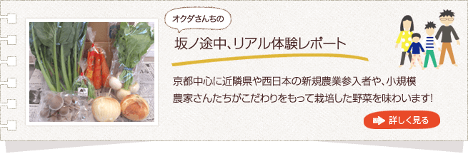 野菜の宅配、坂の途中の野菜の宅配体験レポートへ