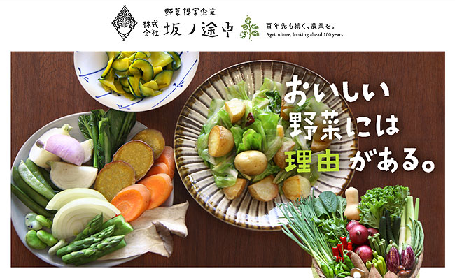 坂の途中、公式サイト