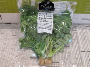 オイシックスのかがやケール